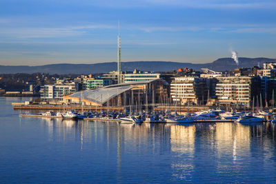 Sailboats in harbor by city against sky