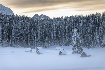 Scenic view of snow covered field against sky