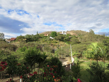 View of plants and trees against cloudy sky