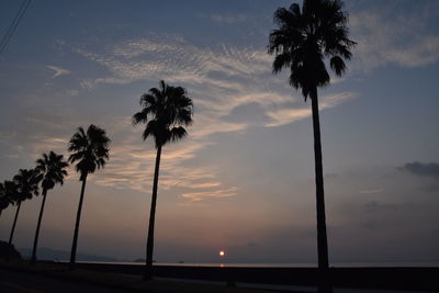 Silhouette palm trees against sky at sunset