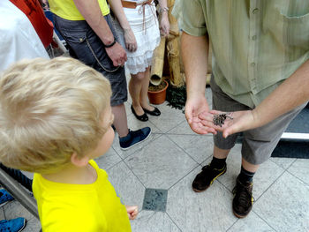 A child look to the spider