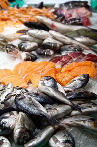 Close-up of fish for sale in market