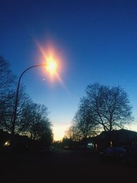 Sun shining through trees