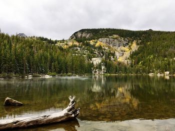 Scenic view of lake by trees against sky