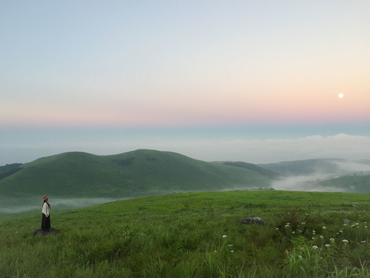 grass, tranquil scene, scenics, tranquility, lifestyles, landscape, beauty in nature, mountain, leisure activity, field, sky, nature, rear view, men, grassy, standing, fog, full length