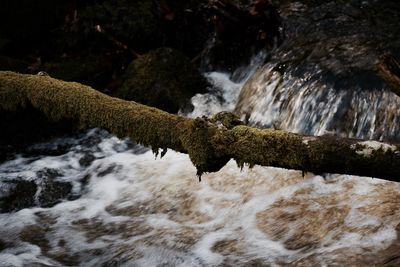 Scenic view of stream in waterfall