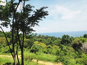 Scenic view of sea against sky