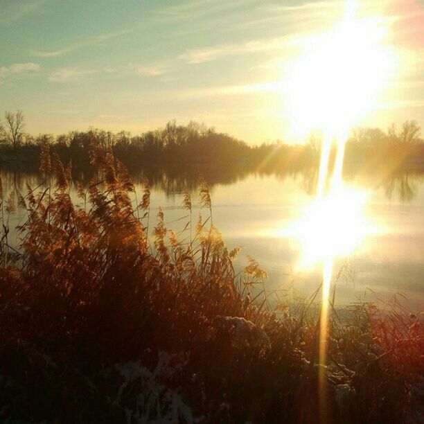 sun, sunset, sunbeam, tranquil scene, tranquility, sunlight, scenics, beauty in nature, sky, lens flare, nature, tree, idyllic, lake, landscape, plant, growth, water, cloud - sky, non-urban scene