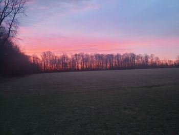 Silhouette trees on field against sky during sunset