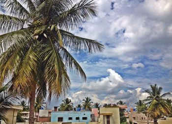 Low angle view of palm trees against cloudy sky
