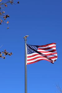 Us american flag in the wind