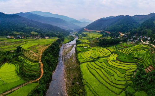 Scenic view of agricultural land against sky