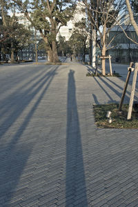 Shadow of person on footpath in city