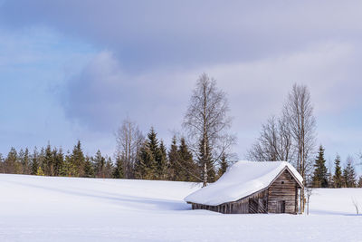 Trees on snow covered field against sky