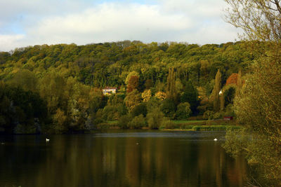 Scenic view of lake by trees against sky