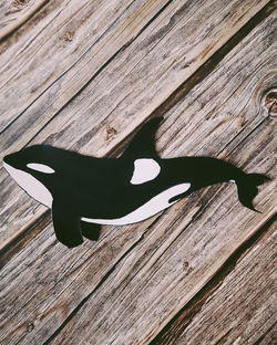 High angle view of wooden plank