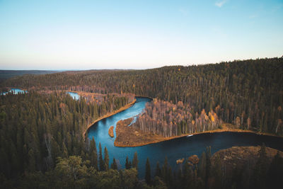 Bend  kitkajoki river in oulanka park in finland during sunset. forest with blue river forming snake