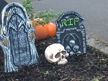 Close-up of text on field