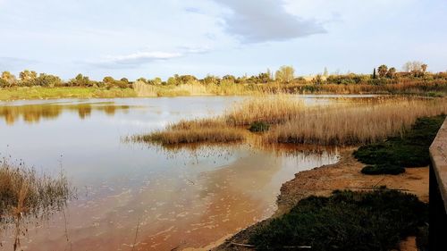 Scenic view of lake against sky