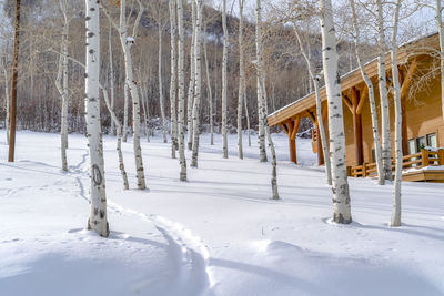 Snow covered field by trees in forest