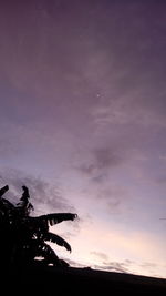 Silhouette tree against sky at night