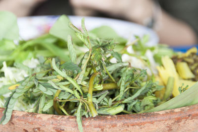 Close-up of served food