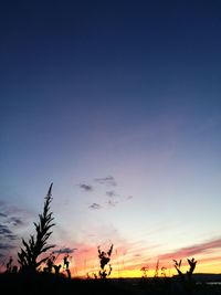 Silhouette of trees against sky during sunset