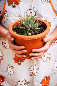 High angle view of woman holding potted plant