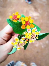 Close-up of hand holding bouquet