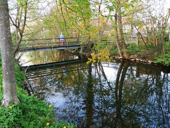 Footbridge over lake in forest