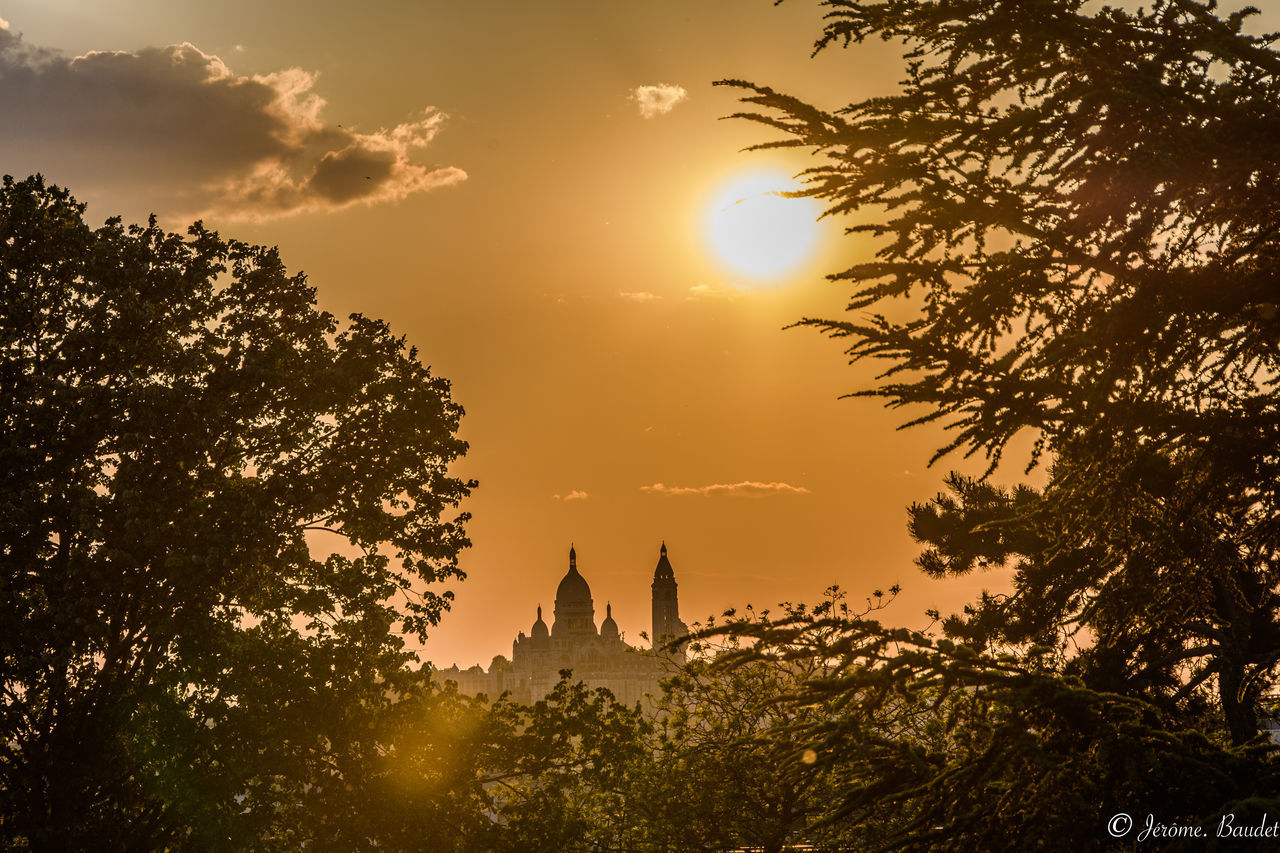 tree, plant, sunset, sky, architecture, built structure, sun, nature, building exterior, religion, orange color, place of worship, belief, history, the past, sunlight, travel destinations, growth, spirituality, no people, outdoors, spire, ancient civilization