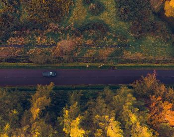 Scenic view of trees on land during autumn