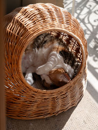 High angle view of wicker basket