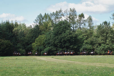 Trees on field against sky