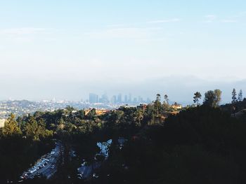 Trees and cityscape against sky