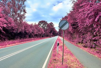 Road amidst trees against sky