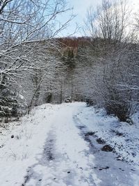 Bare trees on snow covered landscape against sky