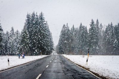 Road passing through forest