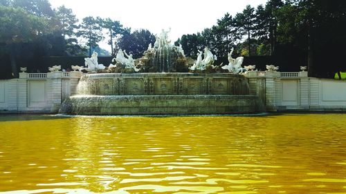 Fountain with trees in background