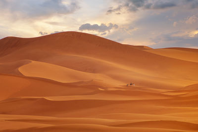 Zahara desert during sunset,morocco