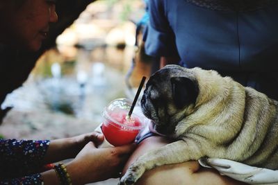 Midsection woman giving drink to dog