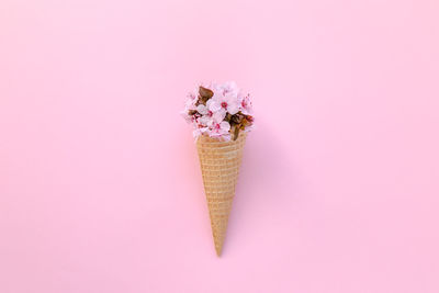 Close-up of ice cream cone with flowers against pink background