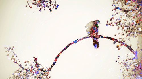 Low angle view of tree against blue sky