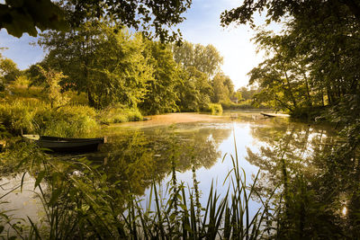 Scenic view of lake in forest against sky