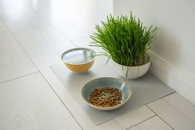 High angle view of potted plant on table