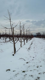 Scenic view of snow covered field against sky