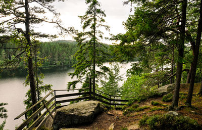 Scenic view of lake in forest against sky