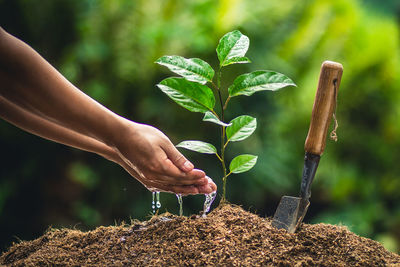 Midsection of man planting sapling in farm