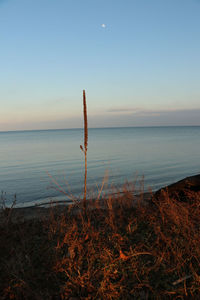 Scenic view of sea against clear sky during sunset