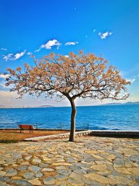 Scenic view of calm sea against sky